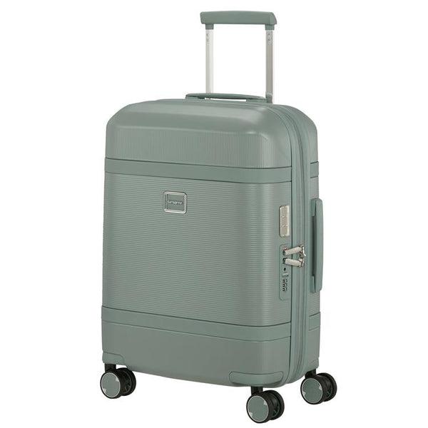 IMAGE - spinner 55cm EXP