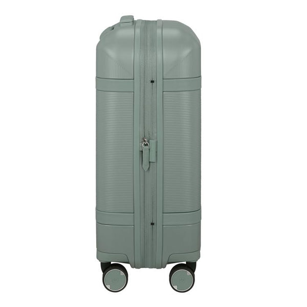 IMAGE - spinner 55cm EXP