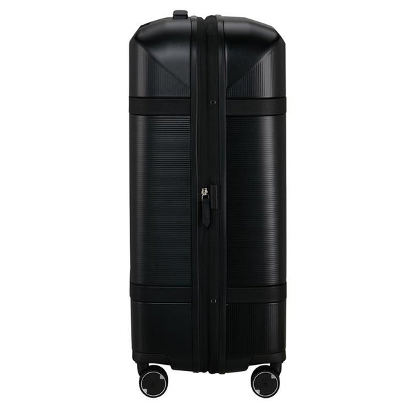 IMAGE - spinner 69cm EXP