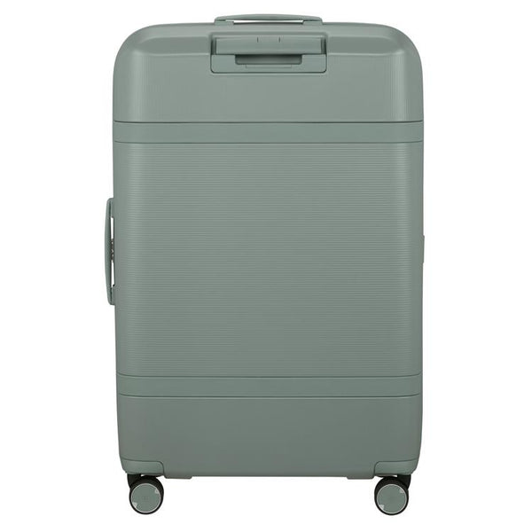 IMAGE - spinner 75cm EXP