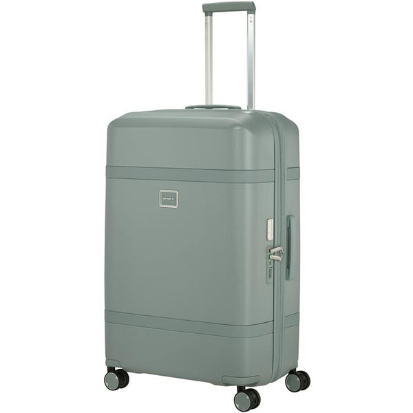 IMAGE - spinner 75cm EXP