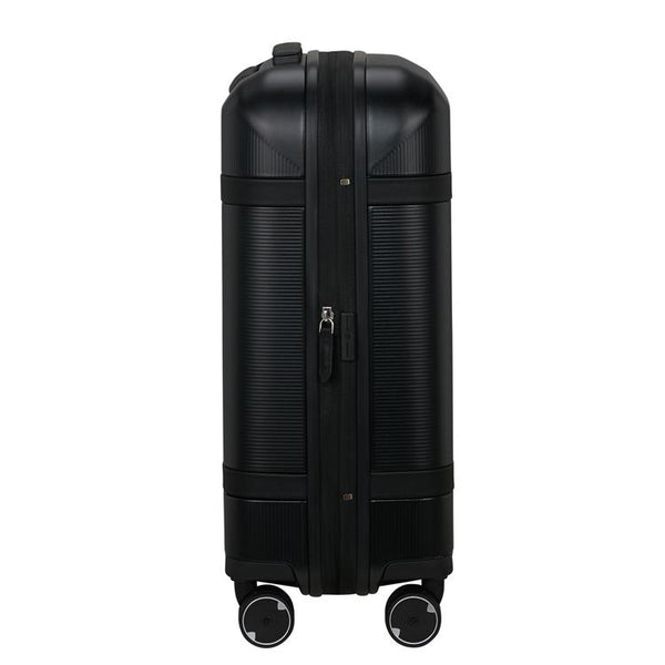 IMAGE - spinner 55cm EXP