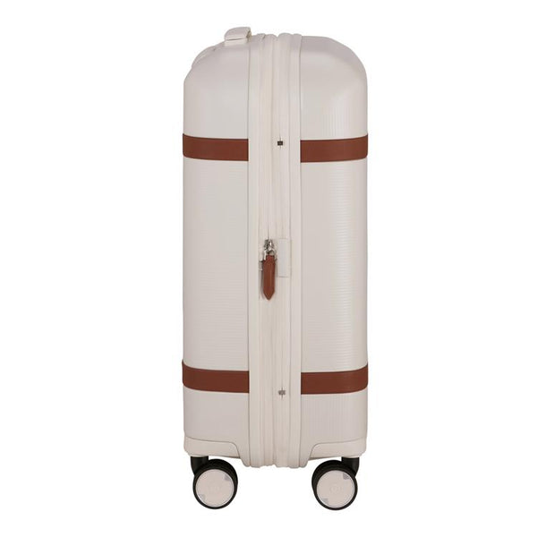 IMAGE - spinner 55cm EXP