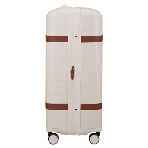 IMAGE - spinner 69cm EXP