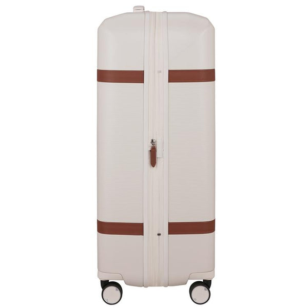 IMAGE - spinner 75cm EXP