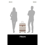 IMAGE - spinner 75cm EXP