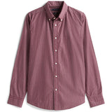 THF - CORE HAIRLINE POPLIN - 0EV