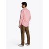 THF - FLEX POPLIN CLASSIC - 0DM