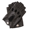 GLO - 22036NF
